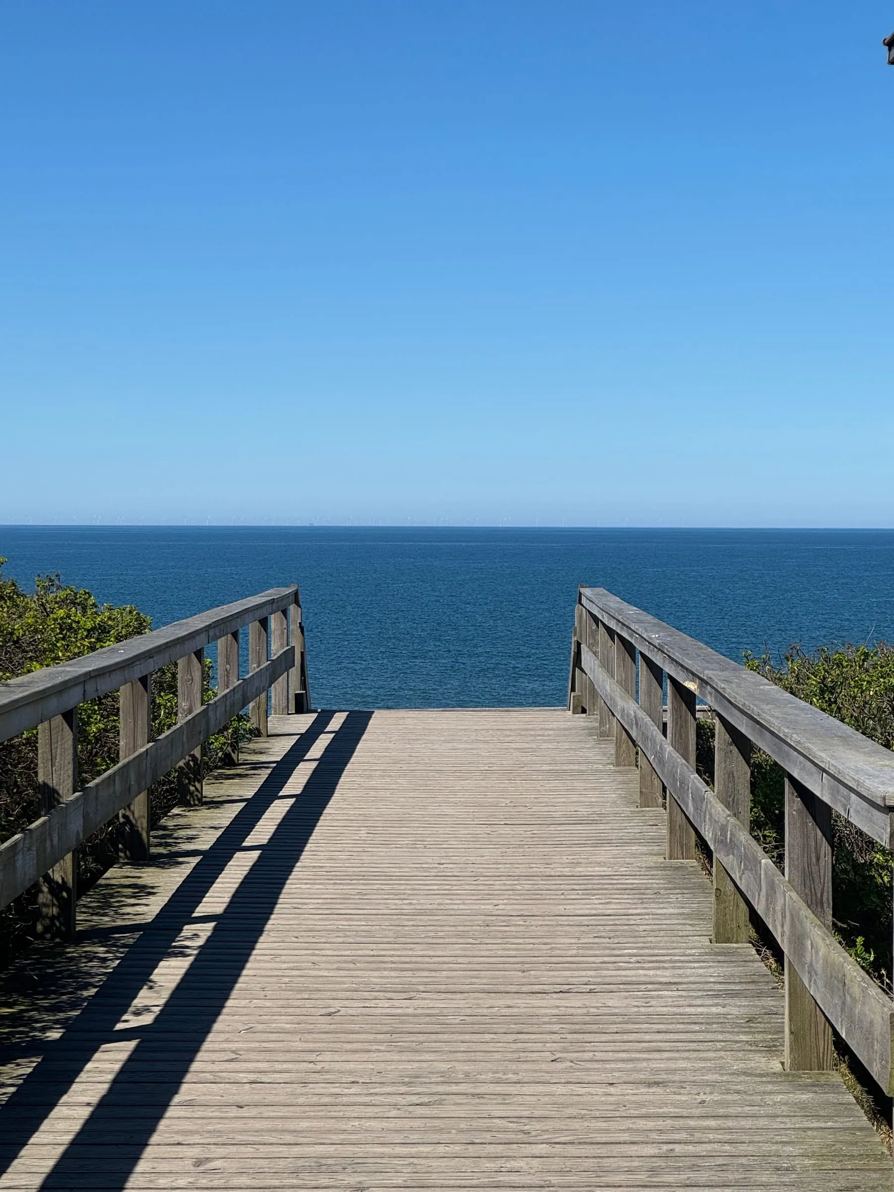 Wooden boardwalk leading through dune grass to the sea