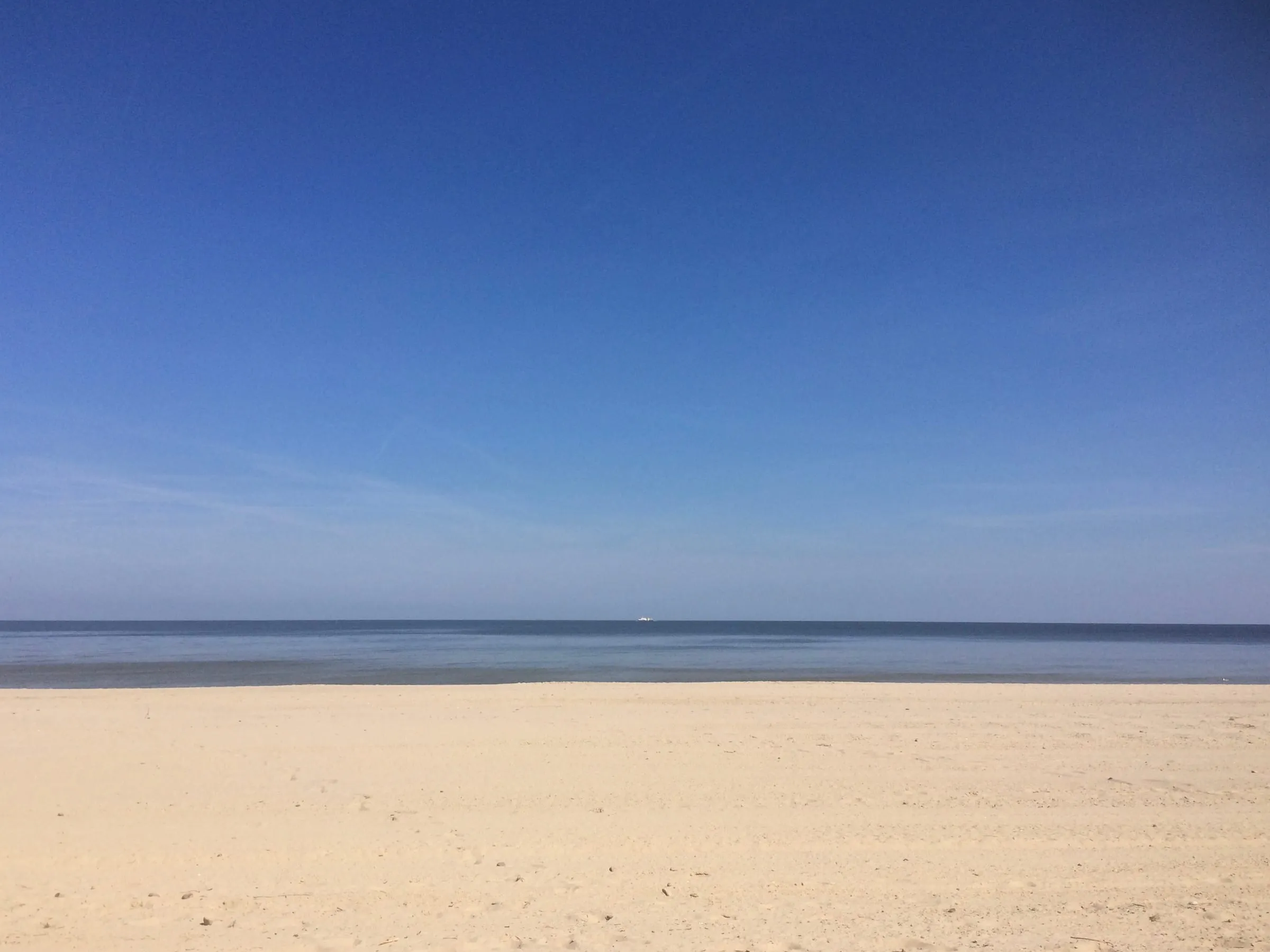 Wooden figures standing together in the sand, as in a family constellation