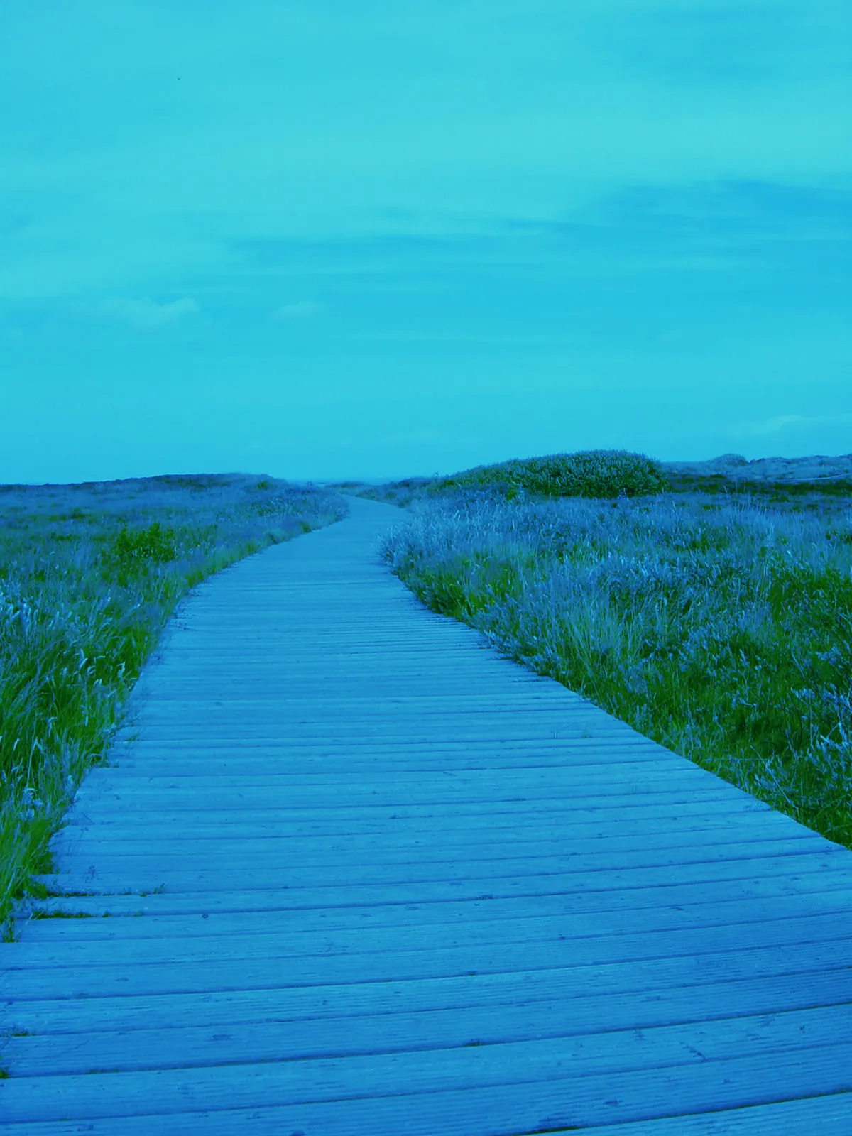 Blauer Traum