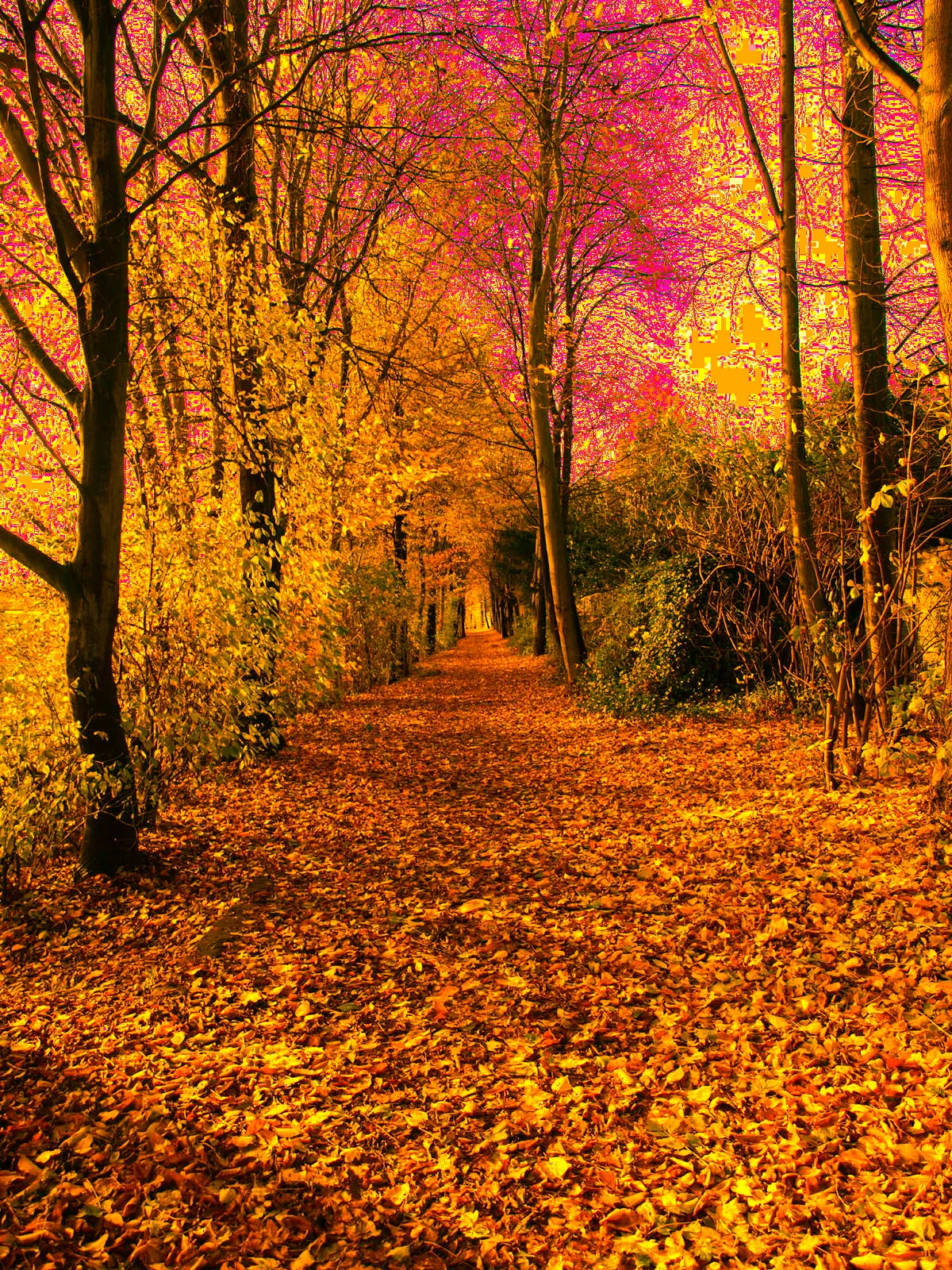 Der Weg